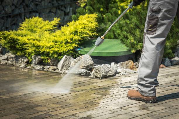 Boat and Dock Cleaning in Buena Vista, CO