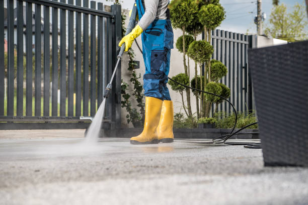 Professional Pressure Washing Services in Buena Vista, CO