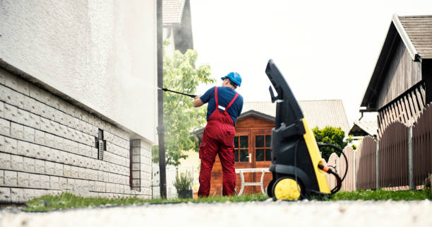 Best Driveway Pressure Washing  in Buena Vista, CO